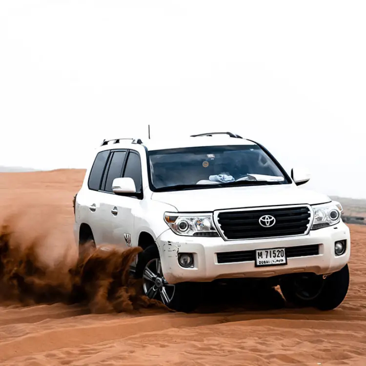 Private Car Desert Safari