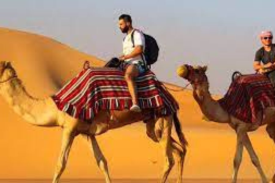 Desert Safari Camel Ride Deals