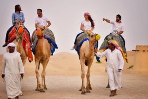 vip camel ride dubai