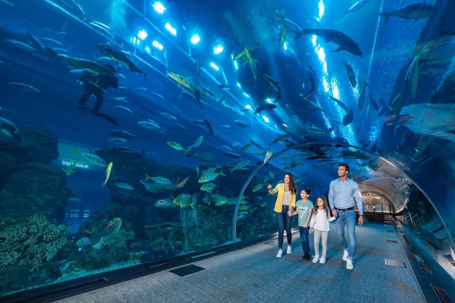 Dubai Underwater Zoo