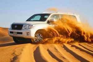 land cruiser safari
